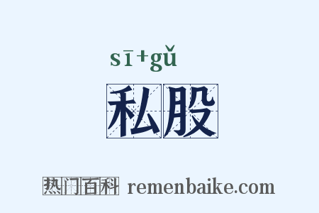 私股是什么意思的图片